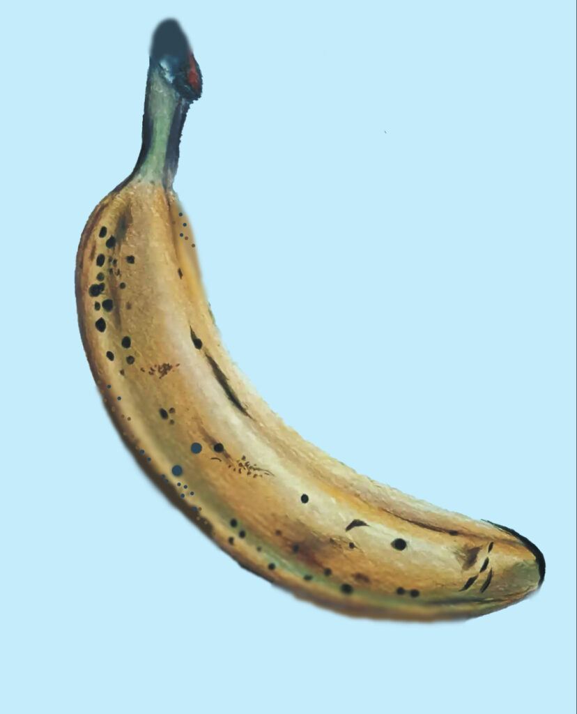 captura de tela 2025 12 22 132843