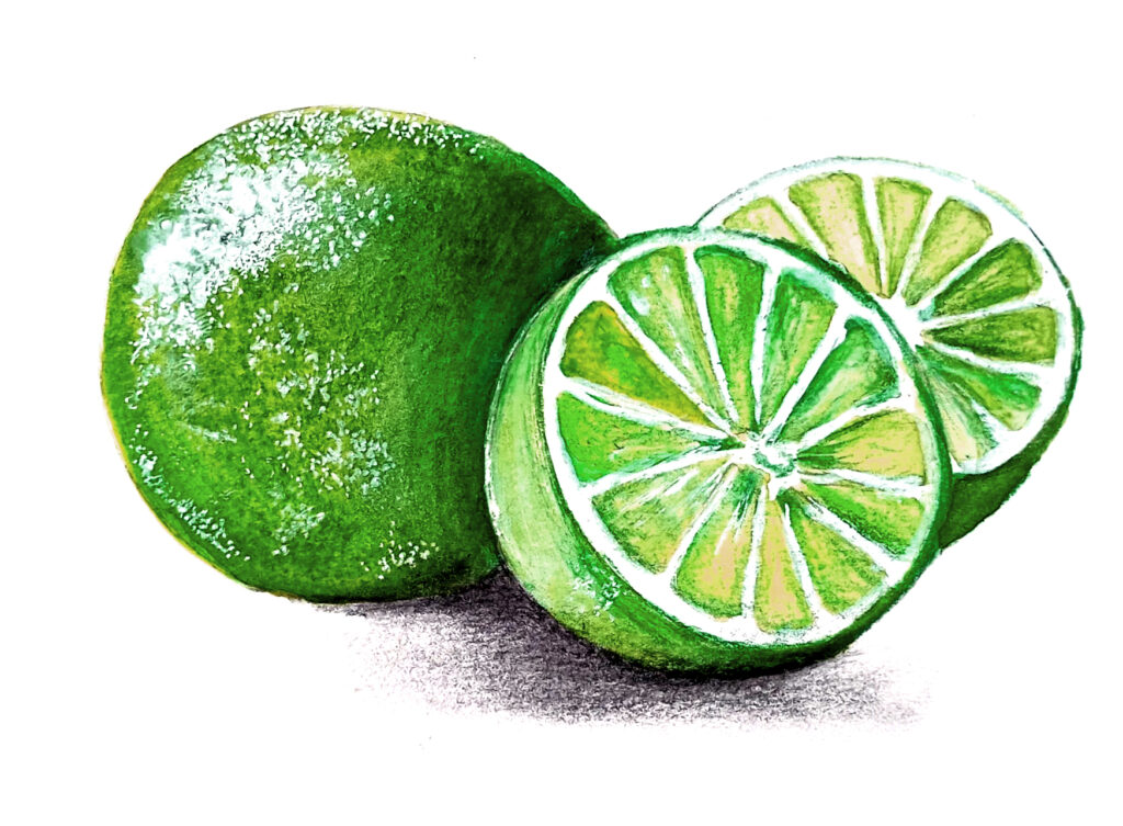 Lemon illustration captura de tela 2026 01 02 150502