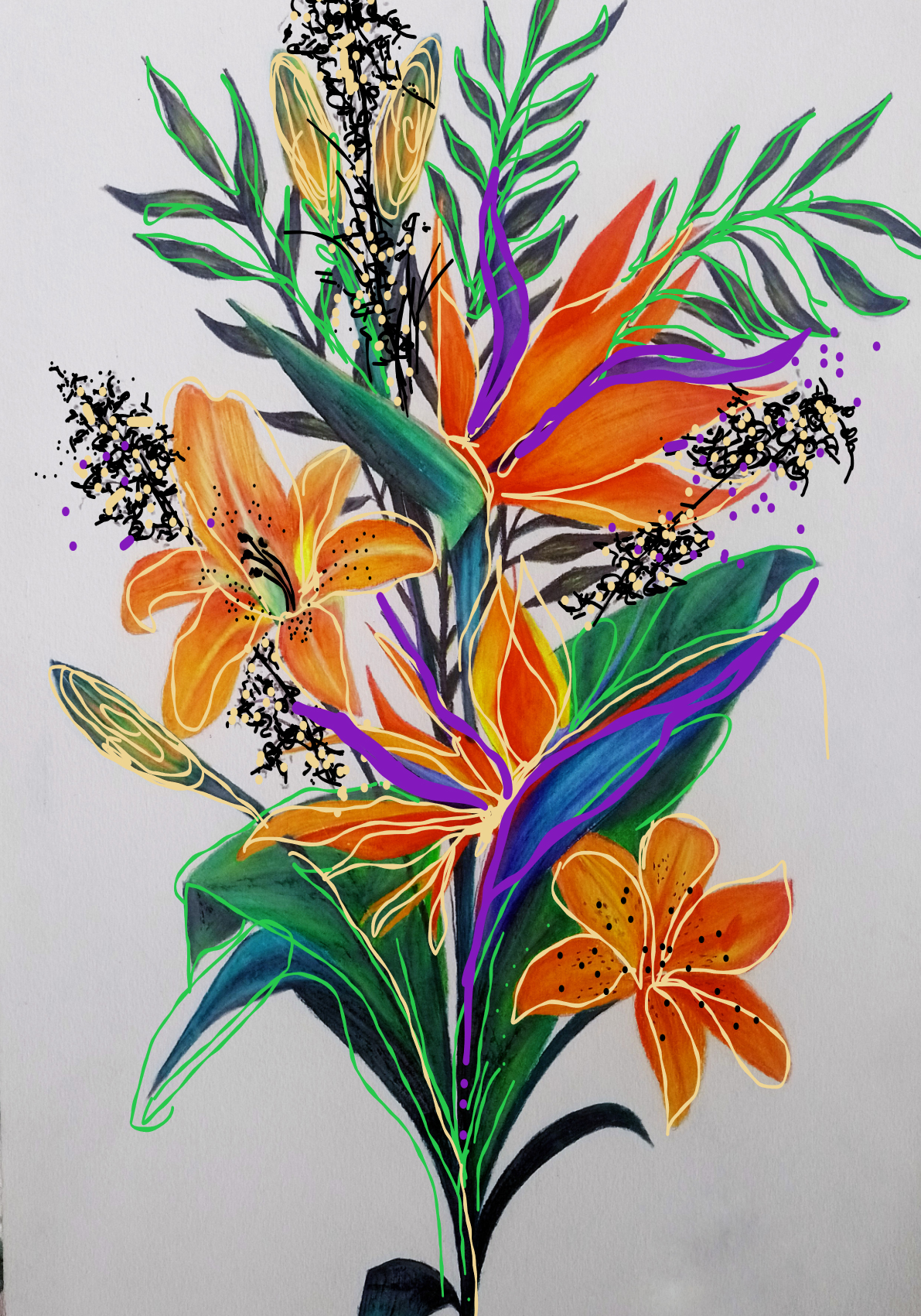 pintura digital estrelícia